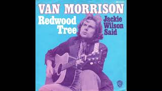 Van Morrison - Redwood Tree