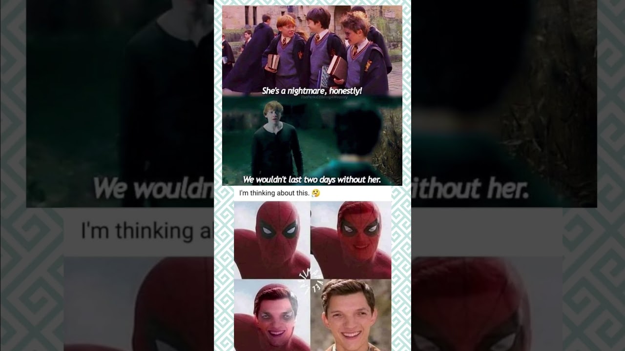 Harry Potter Meets Spider-Man 😂 | Funniest Meme Crossover 