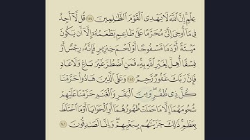006-   الصفحة 147 و 148 Surah Al-Anam  سورة الانعام للقارىء صلاح ادين مانمبان بصوت خاشع نقي وخط كبير