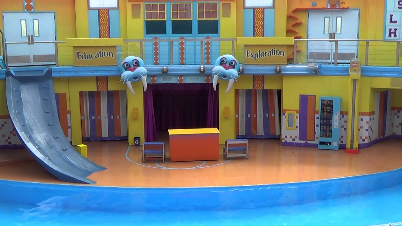 Sea Lion High at SeaWorld Orlando