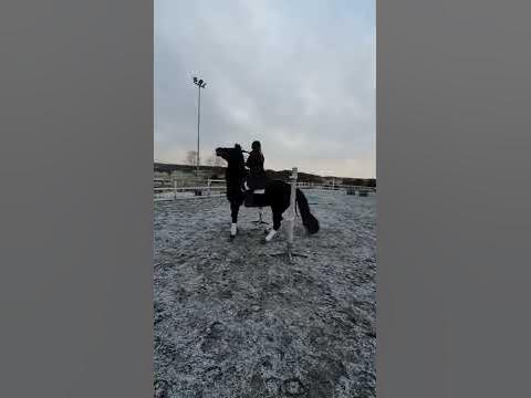 WE träning repgrind - YouTube