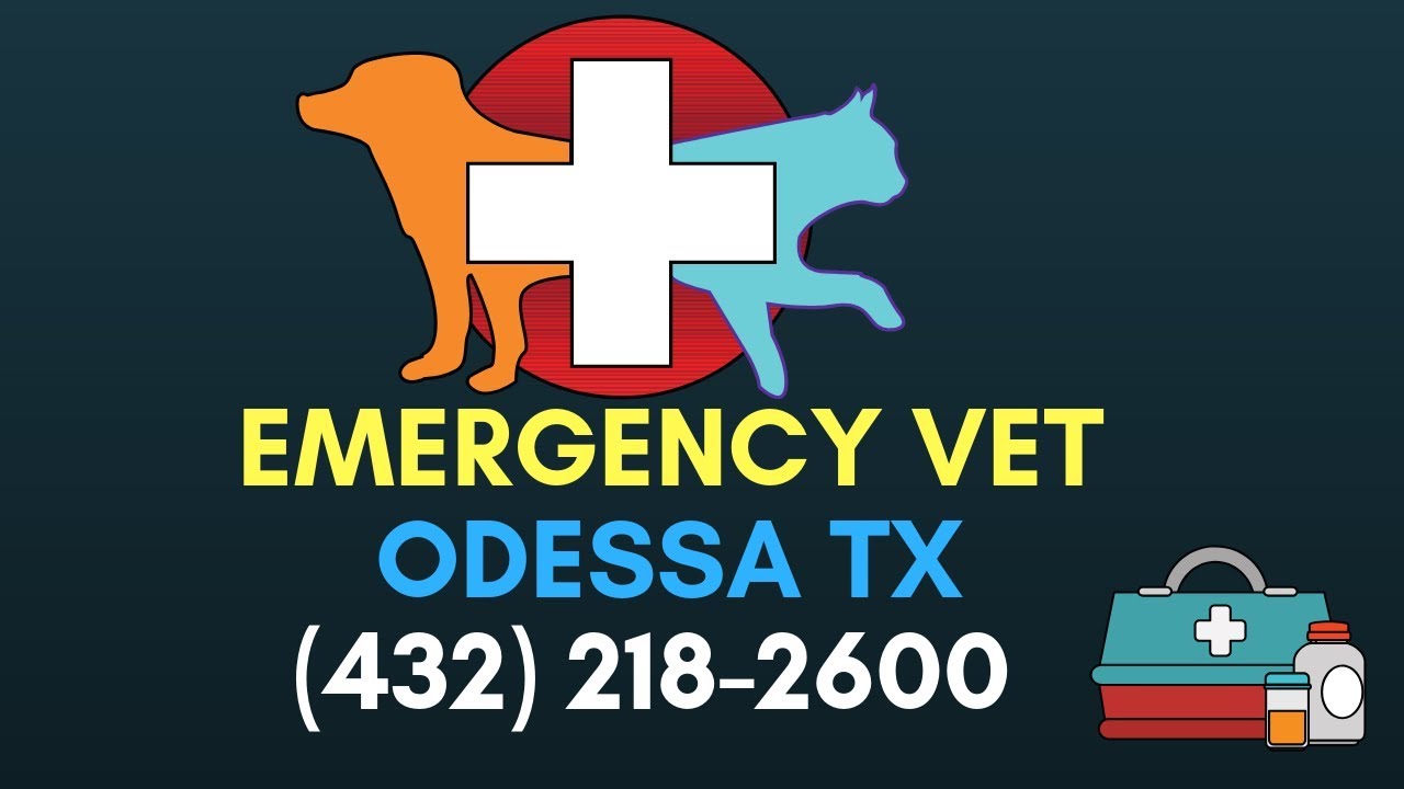 24 Hour Vet Clinic Odessa TX West Texas Emergency Veterinary Clinic