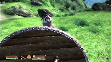 Oblivion Recording Test [Outside and Simple Combat]