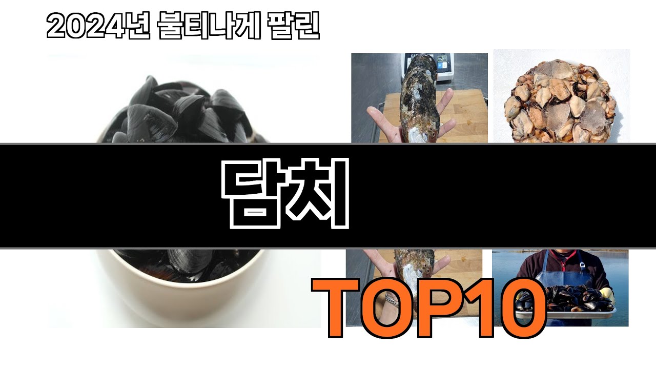 2024 가장 인기 있는 담치 추천 BEST10 - YouTube