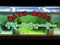 グリーンウォーターと照明問題 そして悲しい報告も…