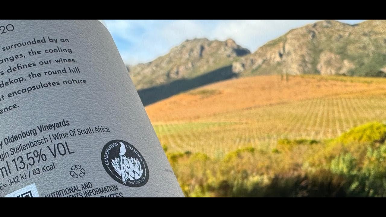 Oldenburg Vineyards' Views - June 2024