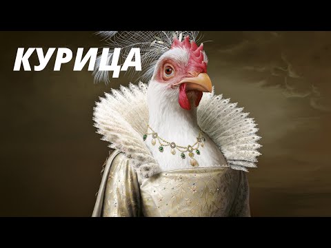 К ЧЕМУ СНИТСЯ КУРИЦА - ВИДЕТЬ КУРИЦУ ВО СНЕ - Толкование Снов - СОННИК