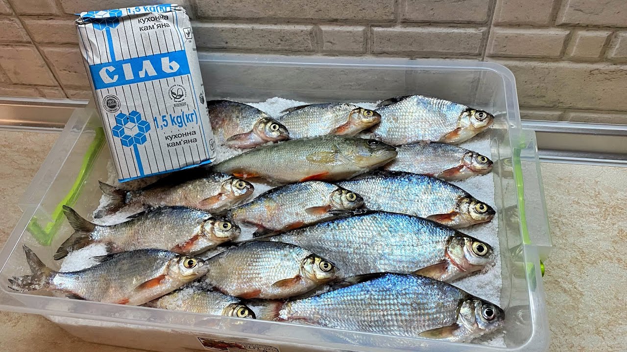 ПОСОЛ РЫБЫ В ДОМАШНИХ УСЛОВИЯХ! САМЫЙ ПРОСТОЙ И ВКУСНЫЙ РЕЦЕПТ ВЯЛЕНОЙ ...