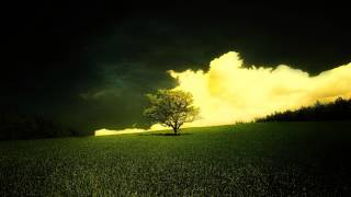 Plan B - The Recluse (Netsky Remix) ¤1080P HQ Audio¤