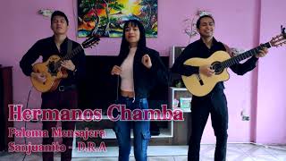 Video thumbnail of "PALOMA MENSAJERA - HERMANOS CHAMBA"