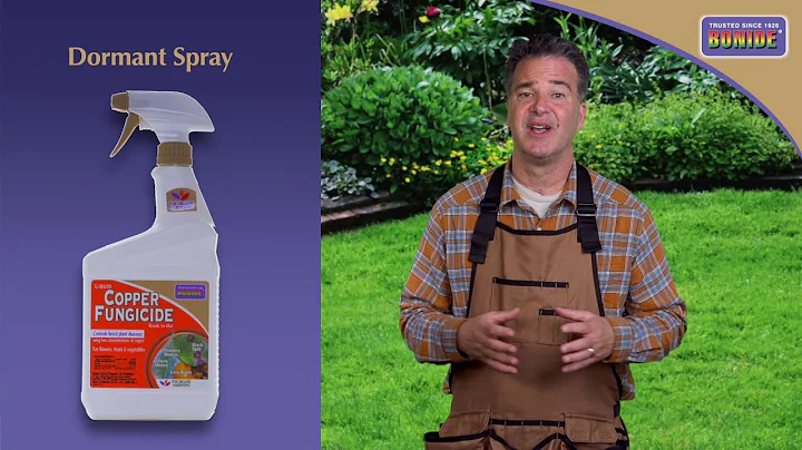 Bonide Copper Ready-To-Use