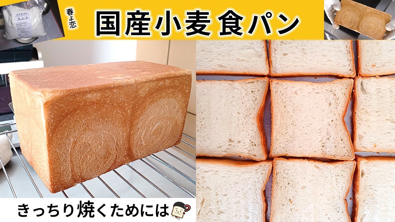 【国産小麦で食パンを作ろう】『春よ恋を使って1斤角食パンをきっちり焼く動画』