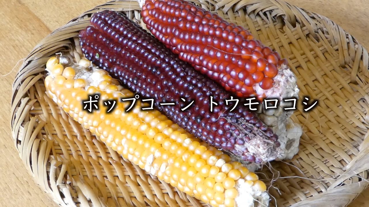 ポップコーン作り方 How To Make Popcorn Youtube ポップコーン作り方 How To Make Popcorn Youtube