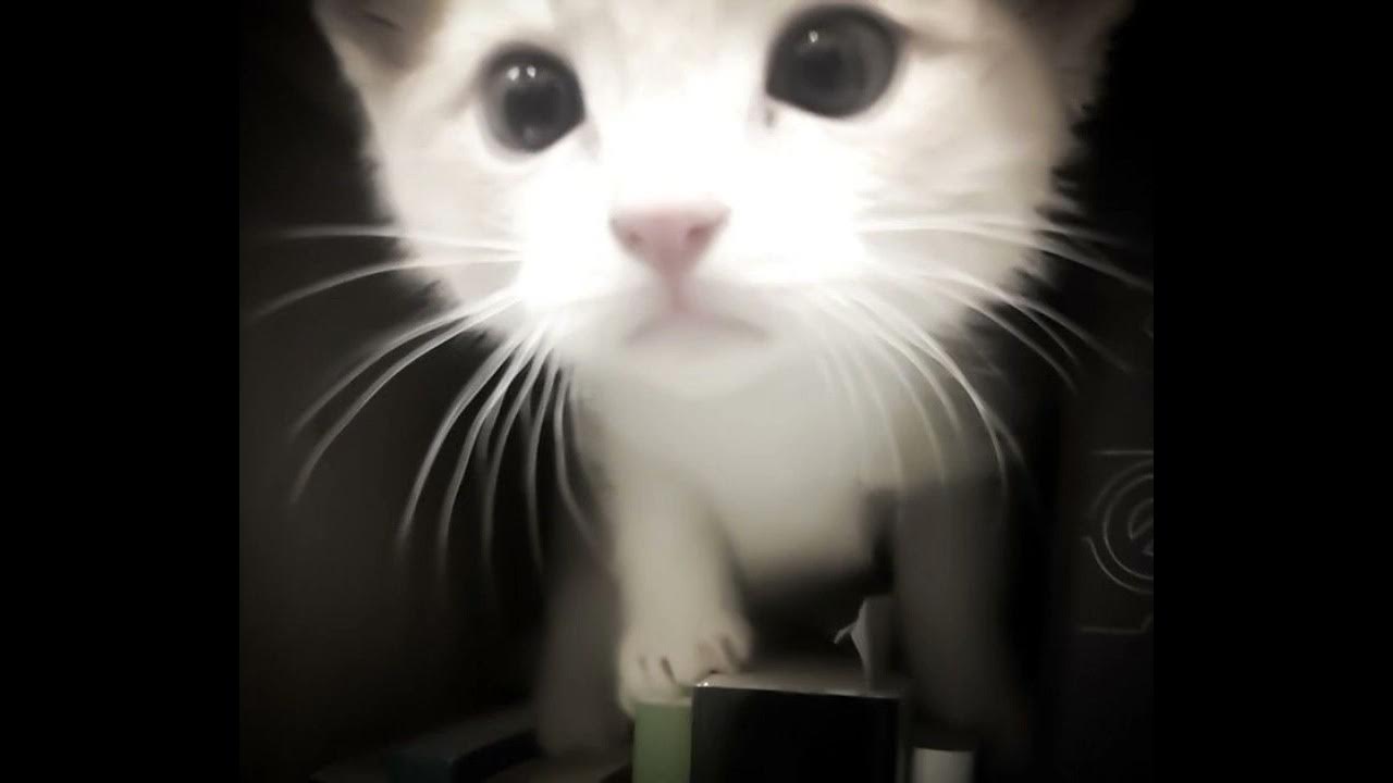 ? %f 3??? ?????? ????? ???, ?? ??????? %e c??, ????? ?????? ??????? ??????? ??????? % e6???????. 4b/5b коды. Ze надпись z. Bc+df 32 ab+ef 24. типы чтения английских гласных таблица.