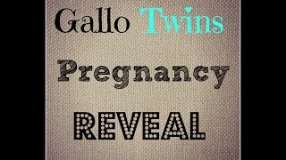 Gallo TWINS Pregnancy Reveal