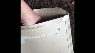 Unboxing Day Uk Spongebob Dvd??