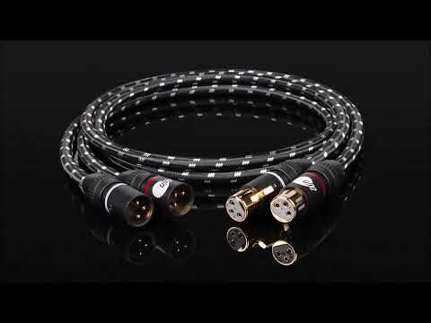 Boaacoustic BEB-2003 Evolution