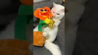 Do you like jazz? 🎶 #funnyanimals #funnypets #funnycats #funnycat #funnyvideos