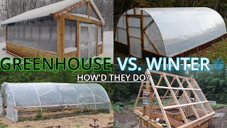 4 Different DIY GREENHOUSES │ How Do They Handle Winter?