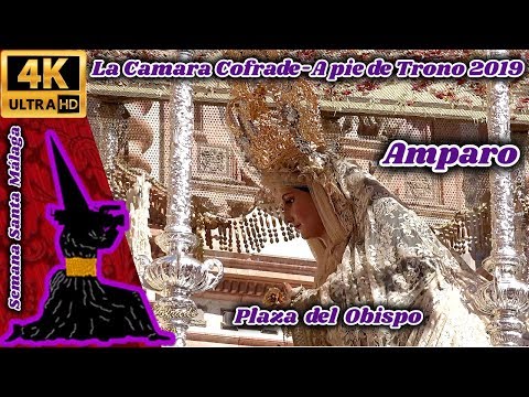 Real Cofradía de Nuestro Padre Jesús a su Entrada en Jerusalén y María Santísima del Amparo