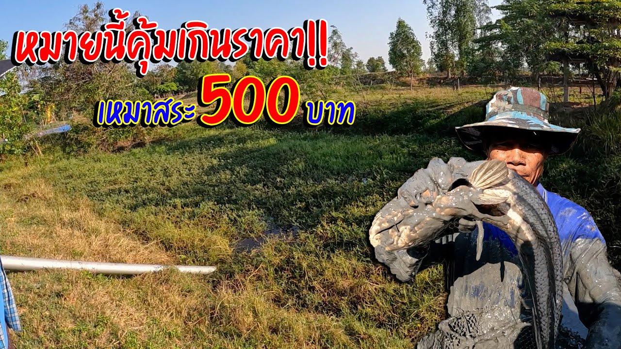 หมายนี้คุ้มเกินราคา!! เหมาสระ 500 บาท เจ้าของบอกทีเด็ดสระนี้