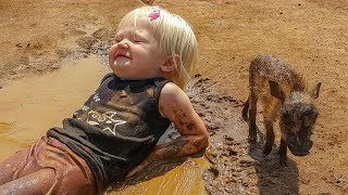 Unlikely Friendship: Rescued Baby Warthog, Toddler, and Dog