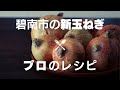 【新玉ねぎ３品】プロに教わった簡単一品料理｜Seasonal onion recipe【ルートフード】
