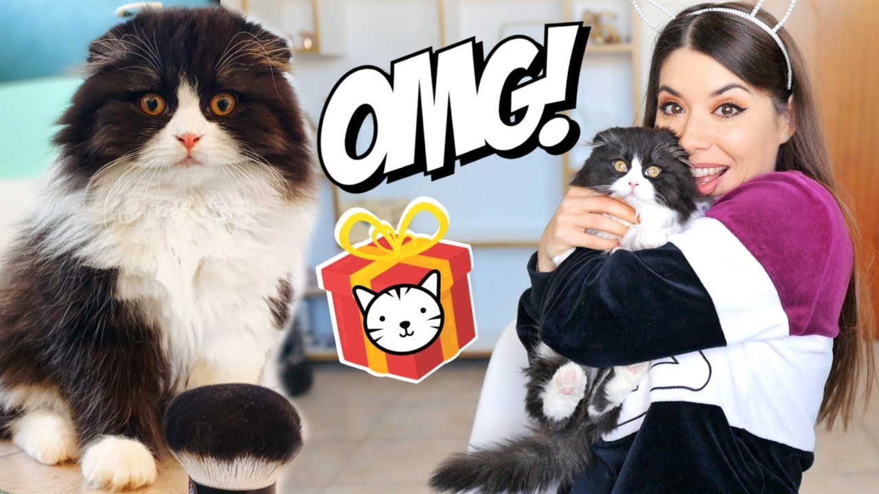 IL MIO RAGAZZO MI REGALA UN CUCCIOLO DI GATTO A SORPRESA!!! *emozionante*