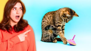 Do You Know The Science of Cat Play? Why its Important for Physical and Mental Health? #facts #cat by Facts Trends 11 views 10 months ago 1 minute, 56 seconds