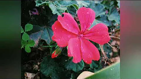 MDeeKay MIX (Deep House vol. 2). Echo deep, Andileandy, Oscar Mbo, Chymamusique, Artwork Sounds