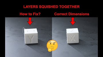 3d Printing | First Few Layers Squished Together (Solutions Included) | A Noob