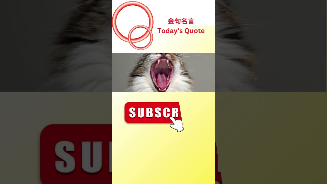 Today's Quote 金句名言 