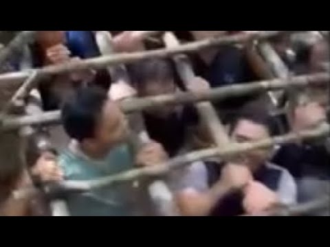 Nasihat Hantu Pari dan Orang Bunian buat laki laki