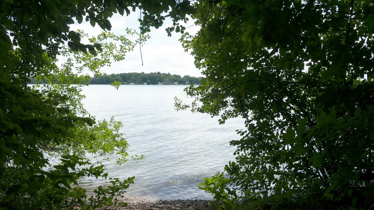 2021 Virtual Apple Island Tours Teaser YouTube