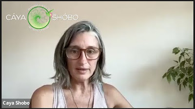 Video article