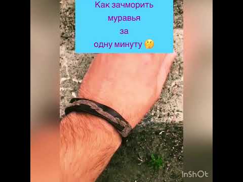 Муравей 🐜 балабол🤪