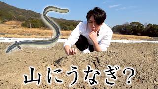 畑に埋まる謎の食材を掘り出してみると...