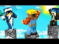 24 ORE SOPRA UN PILASTRO DI BEDROCK SU MINECRAFT!