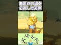 ブーメランを極めた勇者は光り輝くライネルに出会いました　 #ゼルダの伝説