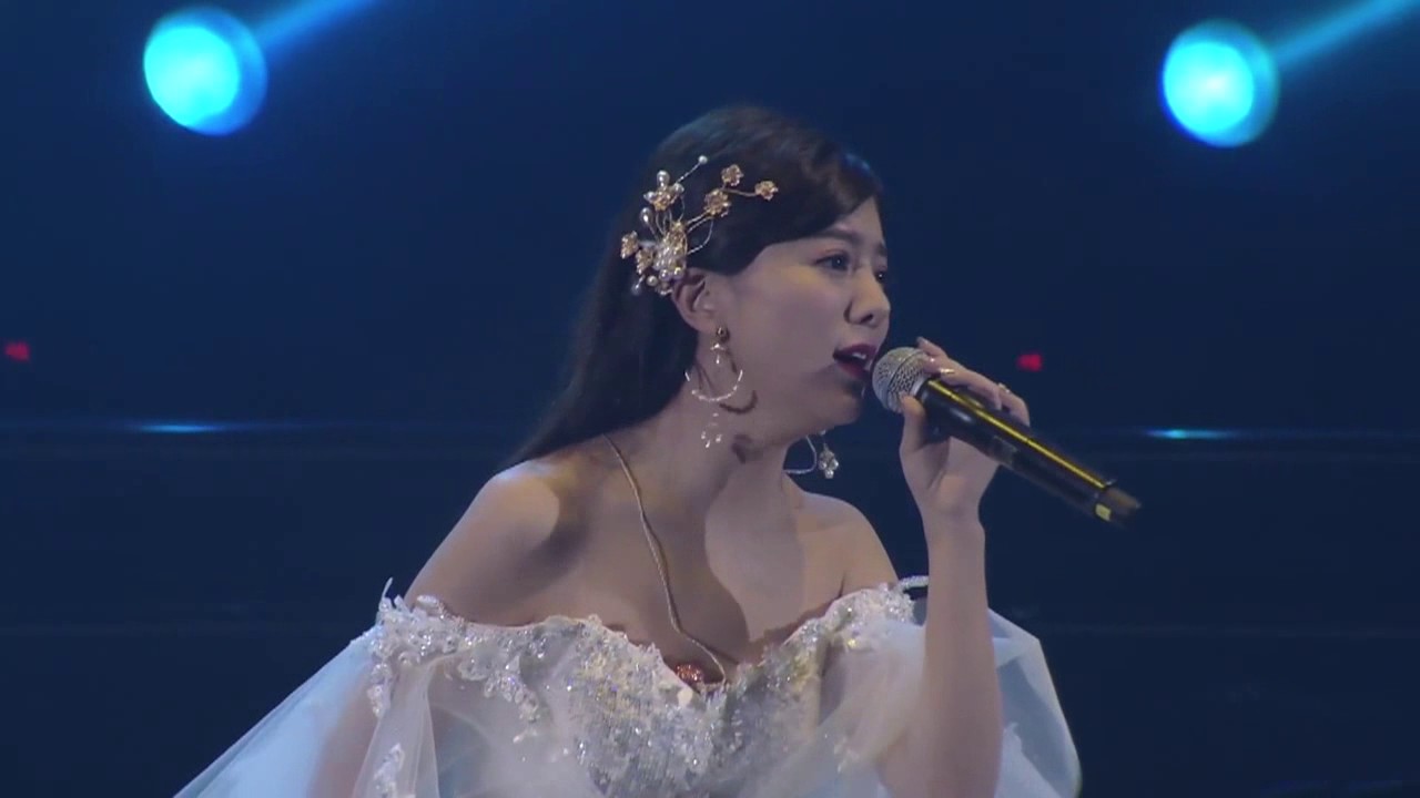 alan阿兰 悲しみ雪に眠る Kanashimi wa yuki ni nemuru 20170218成都Best&More演唱会