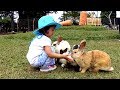 Seru Banget Bermain dengan Kelinci & Kasih Makan Kelinci di Taman Kelinci De'Ranch Lembang