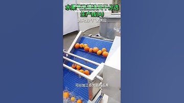 Automatic Orange Washing Size Grader Machine