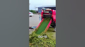 Silage baling and wrapping machine. Hay straw can be packed into bundles to feed cattle and sheep.