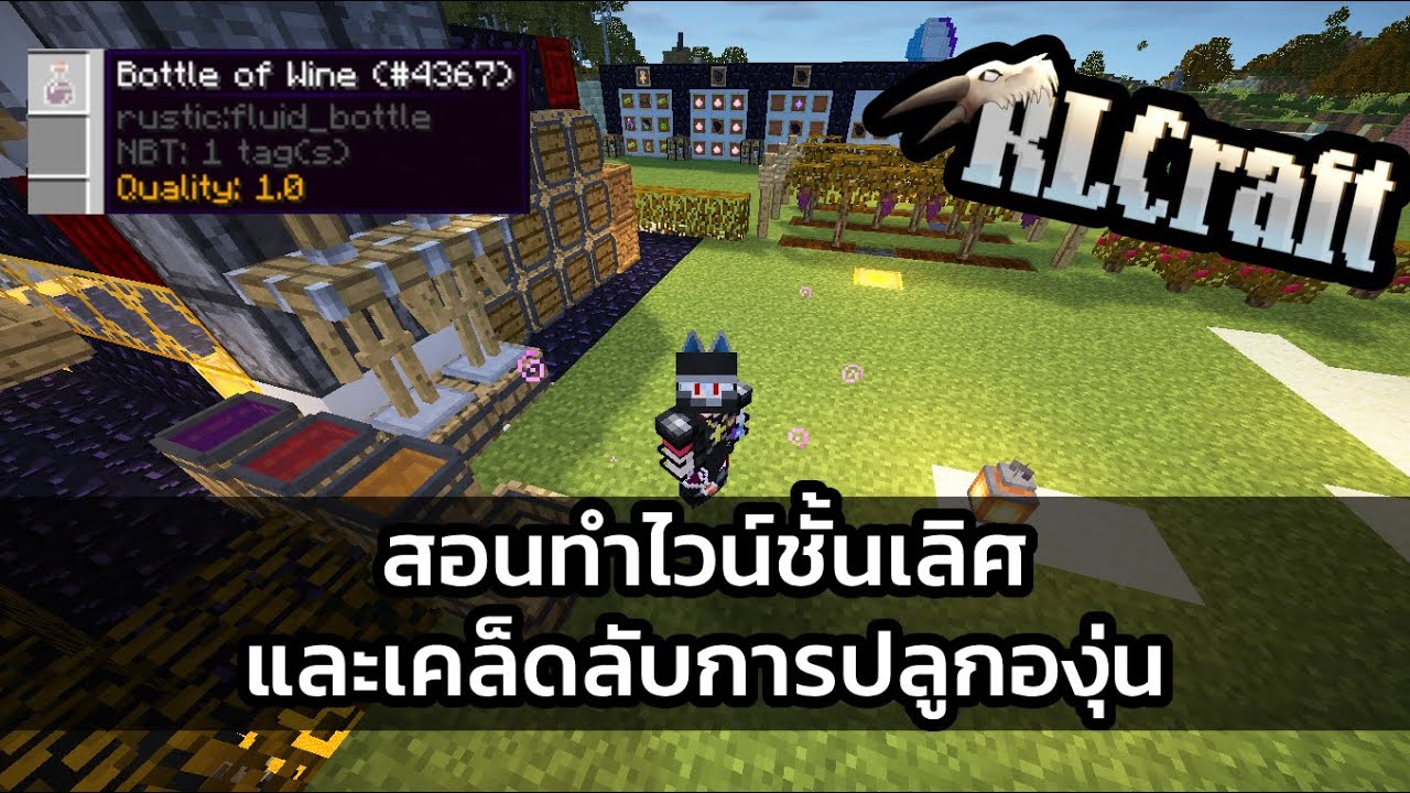 Wine Rlcraft RLCraft สอนไวน์ชั้นเลิศ และเคล็ดลับการปลูกองุ่น - YouTube