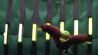 Buddy Summit Pigeon Forge - Lin Ennis Indoor Skydiving