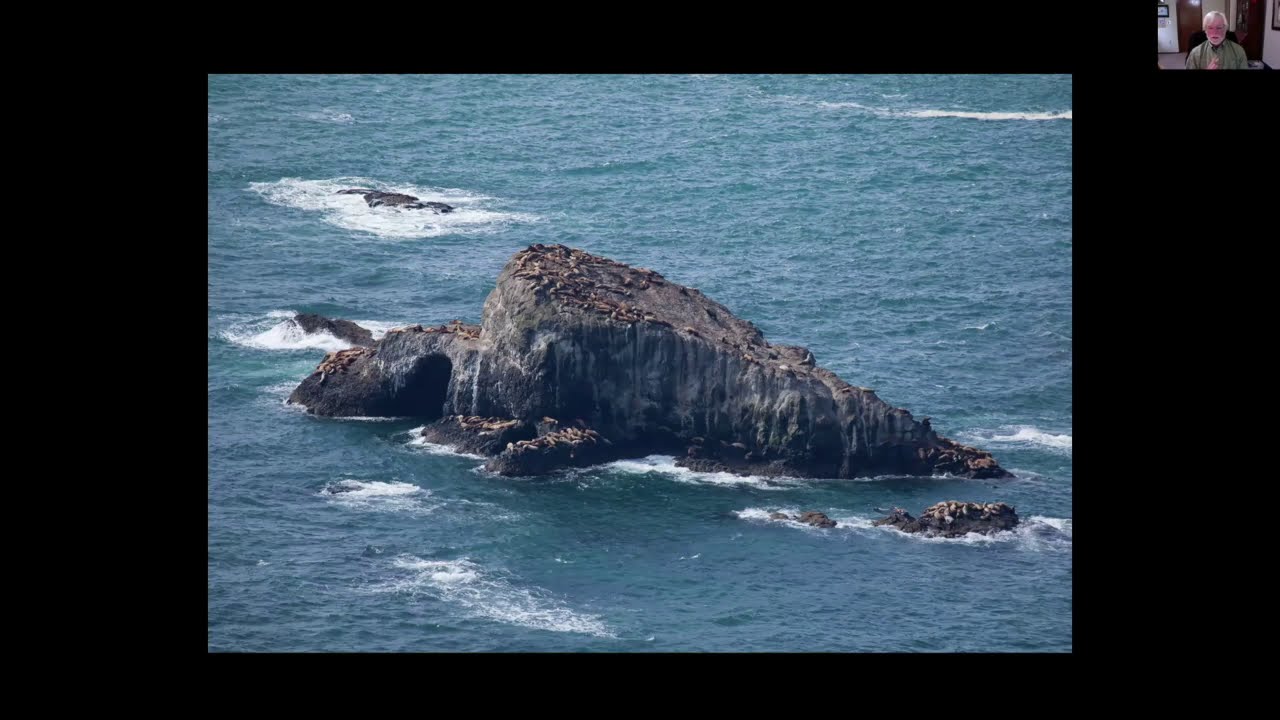 Rocky Habitat Series: On the Rocks! Oregon Islands National Wildlife Refuge with Roy Lowe