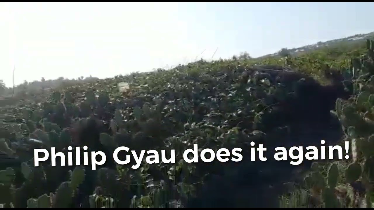 Building in Ghana- beachfront land in Senya Beraku, Ghana!!! 🇬🇭