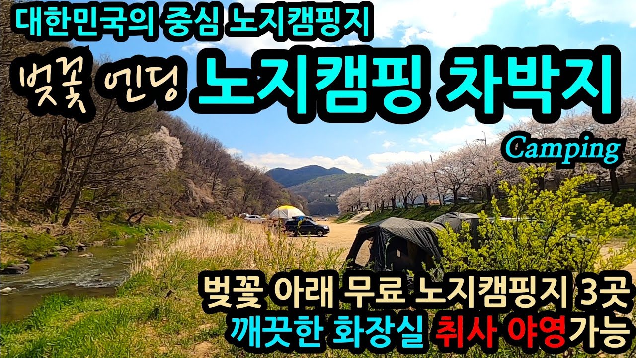 천안시 북천면 벚꽃엔딩 노지캠핑 차박지 Camping/벚꽃아래 무료노지캠핑지 3곳/깨끗한 화장실 취사 야영 가능/ 대한민국 중심 노지캠핑지
