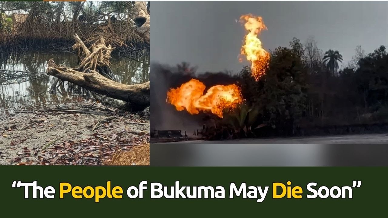 “The People of Bukuma May Die Soon” | The Green Footprint Ep. 7 - YouTube