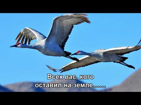 Журавли - Ян Френкель (1973) (Subtitles)